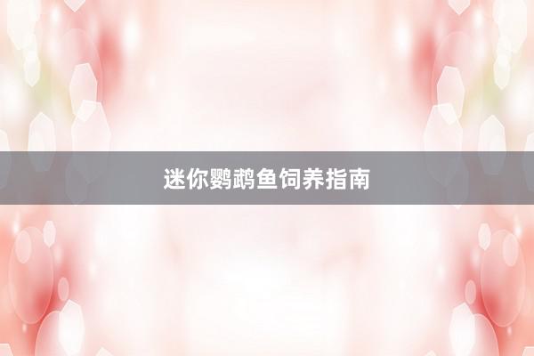 迷你鹦鹉鱼饲养指南