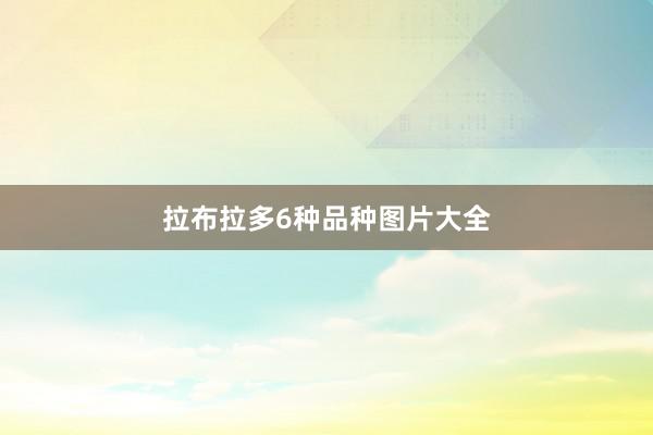 拉布拉多6种品种图片大全